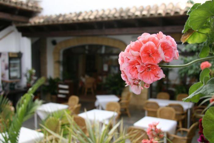 Hostal Torre De Guzman Conil De La Frontera Εξωτερικό φωτογραφία