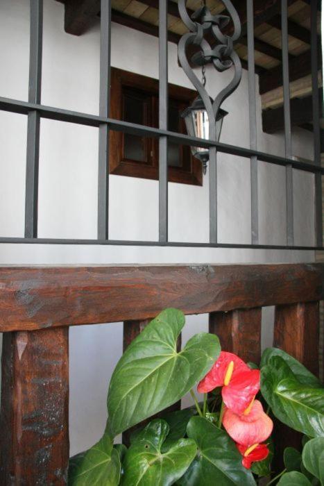 Hostal Torre De Guzman Conil De La Frontera Εξωτερικό φωτογραφία