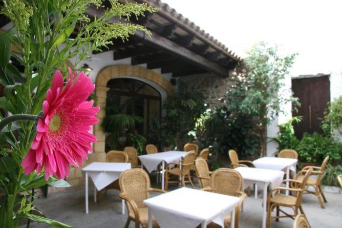 Hostal Torre De Guzman Conil De La Frontera Εξωτερικό φωτογραφία